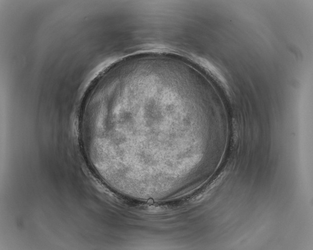 X0000112091318200908251119