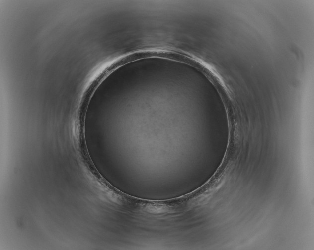 X0000112091319200908251119