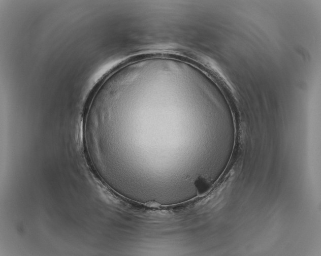 X0000112091320200908251119