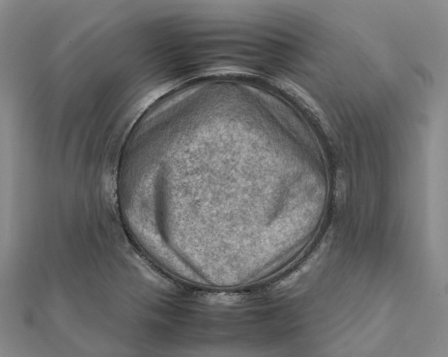 X0000112091321200908251119