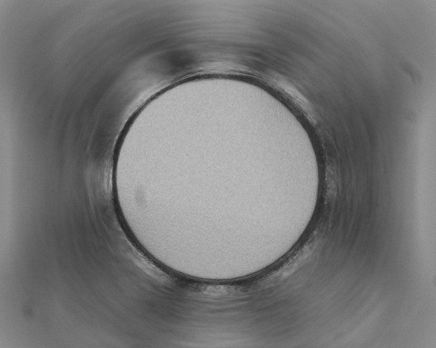 X0000112091322200908251119