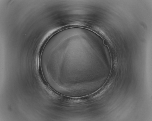 X0000112091323200908251119