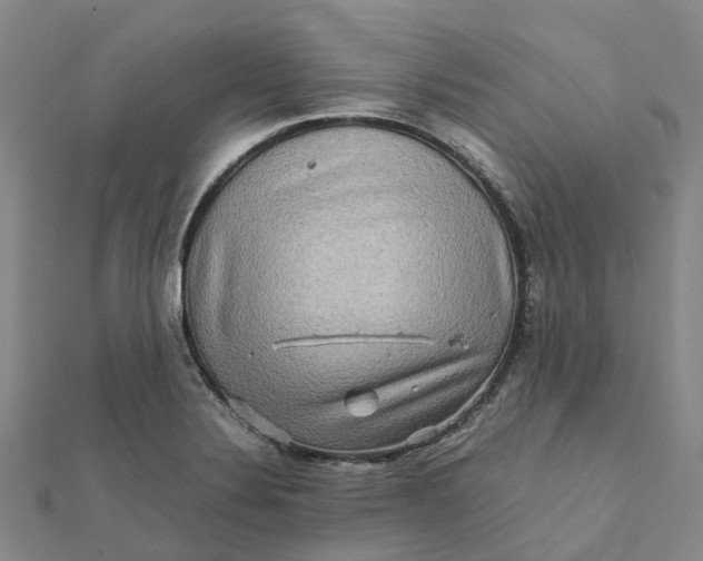 X0000112091324200908251119