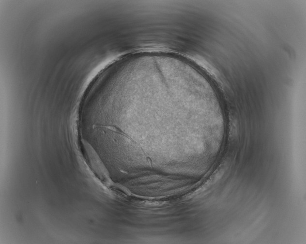 X0000112091325200908251119