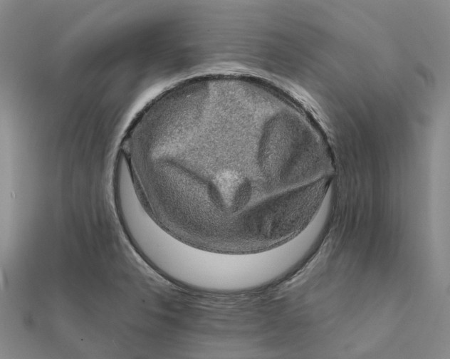 X0000112091326200908251119