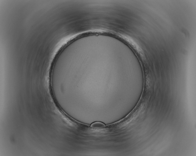 X0000112091327200908251119