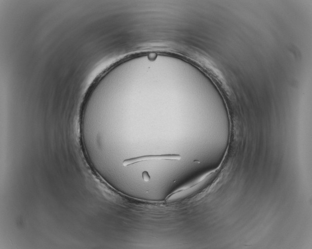 X0000112091328200908251119