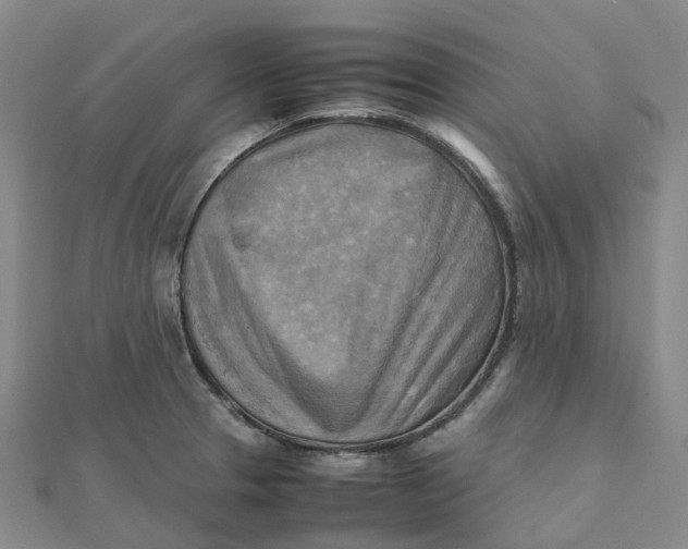 X0000112091329200908251119