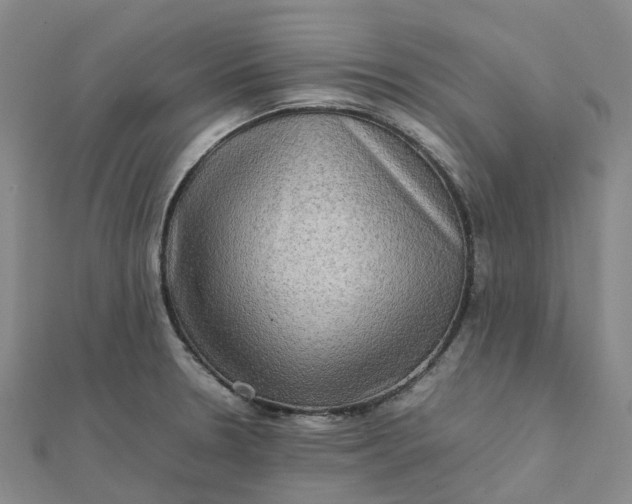 X0000112091330200908251119