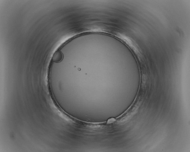 X0000112091331200908251119