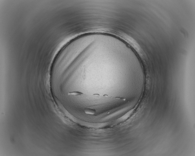 X0000112091332200908251119