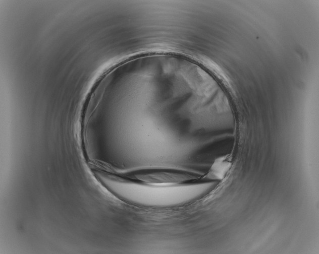 X0000112091334200908251119