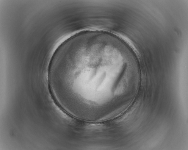 X0000112091335200908251119