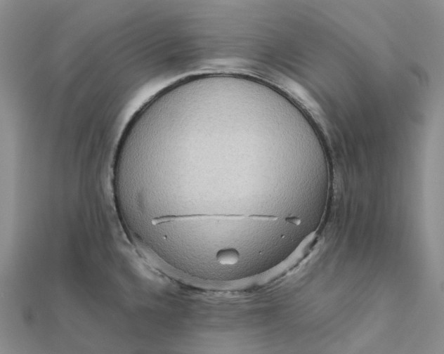 X0000112091336200908251119