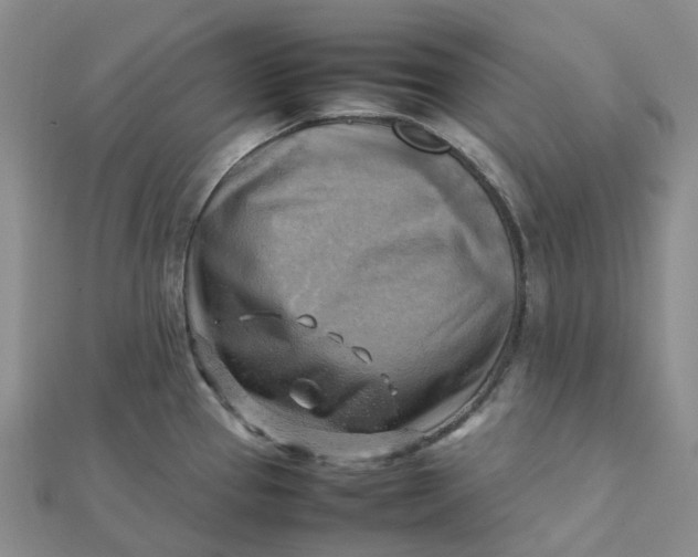 X0000112091337200908251119