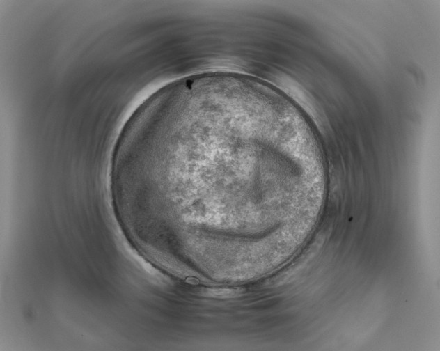 X0000112091339200908251119