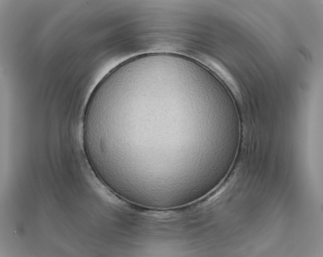 X0000112091340200908251119