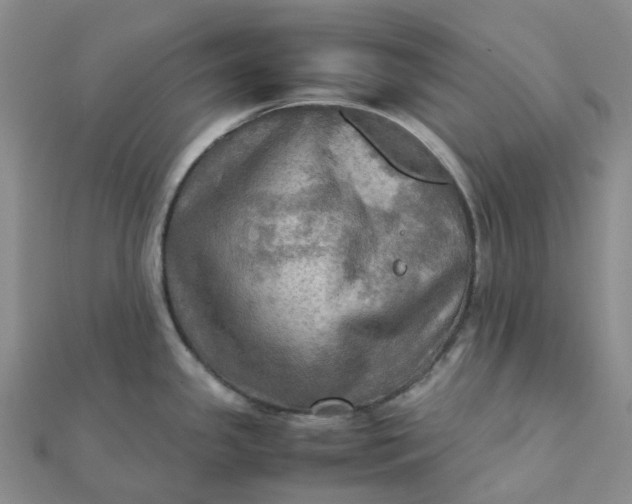 X0000112091341200908251119