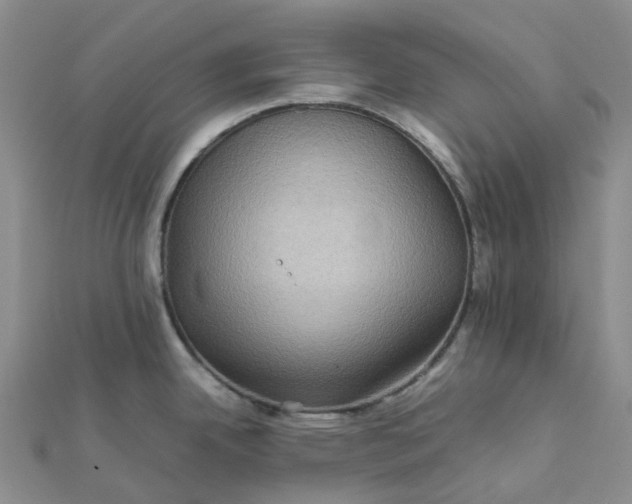 X0000112091342200908251119