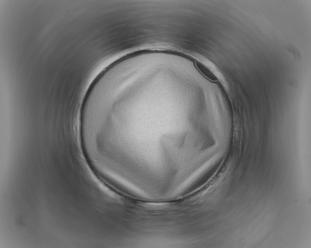 X0000112091343200908251119