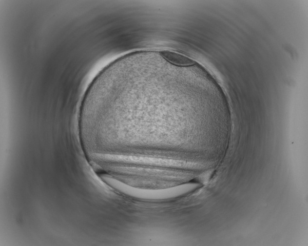 X0000112091344200908251119