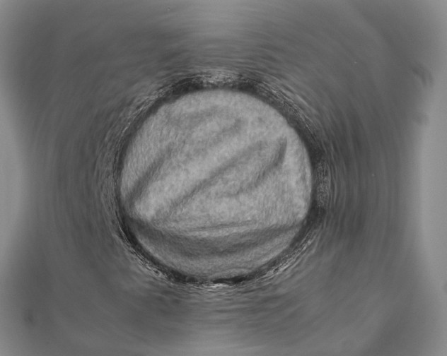 X0000112091345200908251119