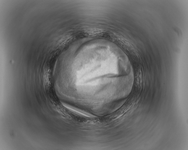 X0000112091346200908251119