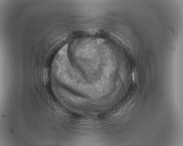 X0000112091347200908251119