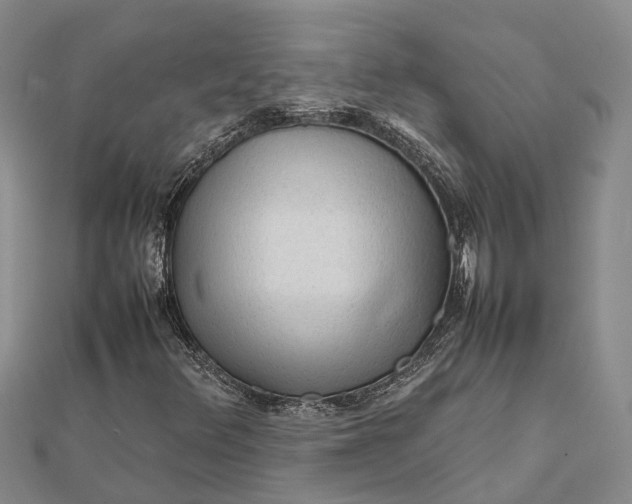 X0000112091348200908251119