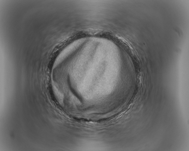 X0000112091349200908251119