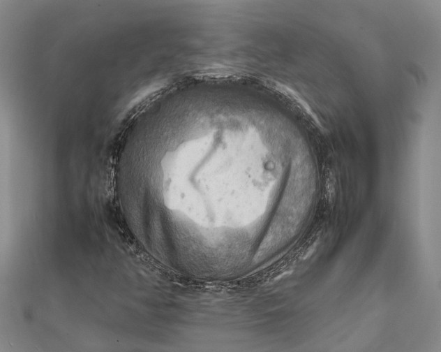 X0000112091350200908251119