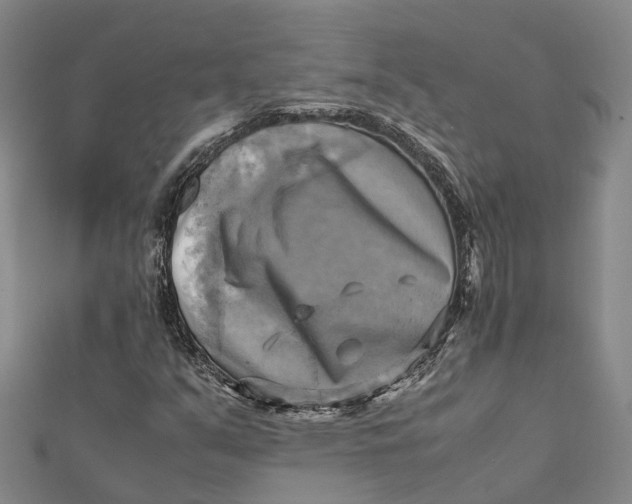 X0000112091351200908251119