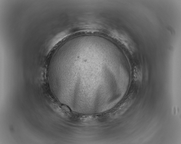 X0000112091352200908251119