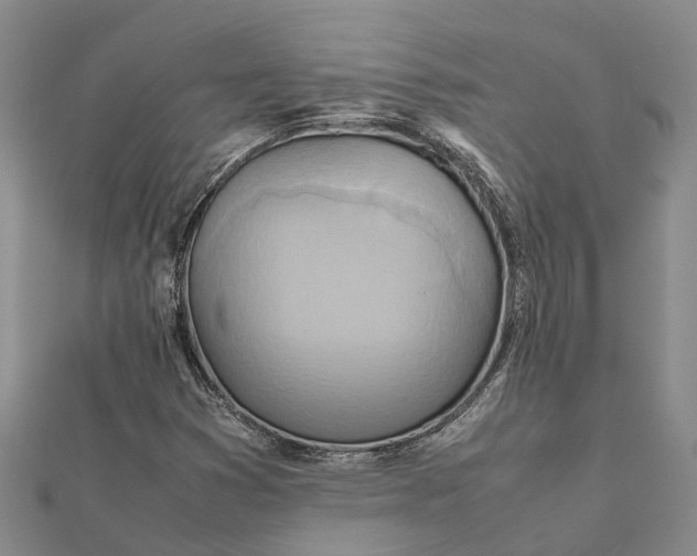 X0000112091353200908251119