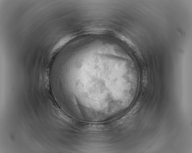 X0000112091354200908251119