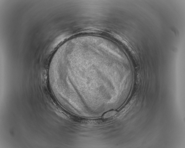 X0000112091355200908251119