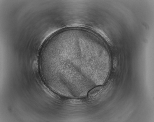 X0000112091356200908251119