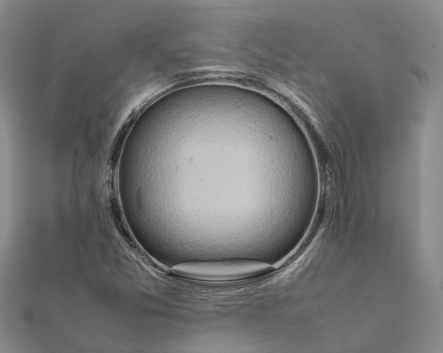 X0000112091357200908251118