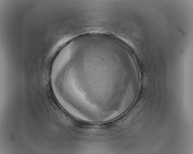 X0000112091359200908251118