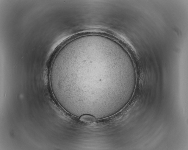 X0000112091360200908251118