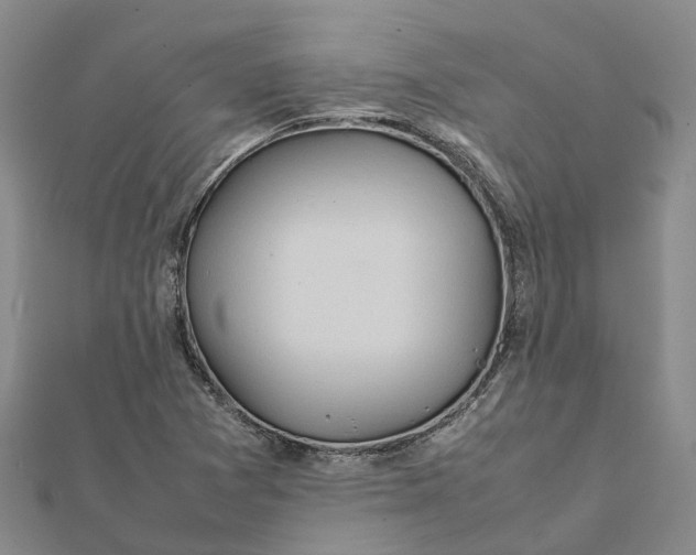 X0000112091361200908251118