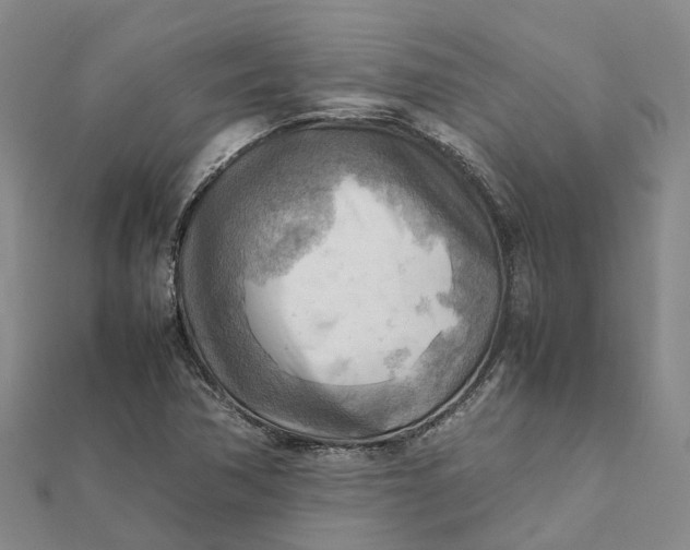 X0000112091362200908251118