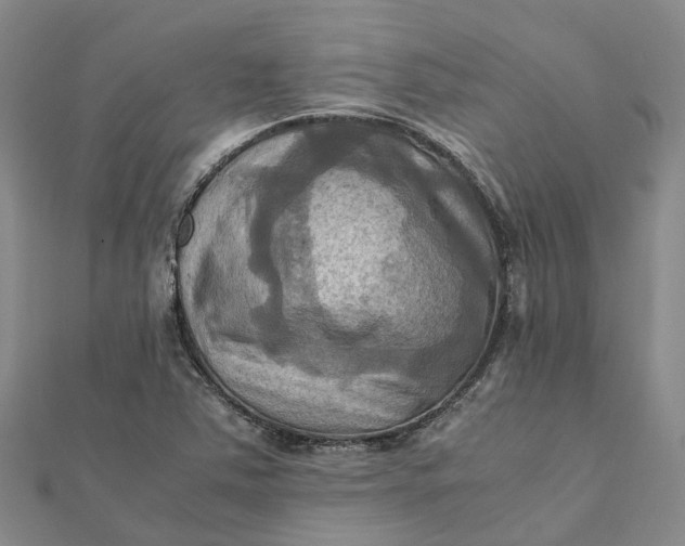 X0000112091363200908251118