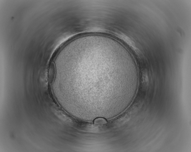 X0000112091364200908251118