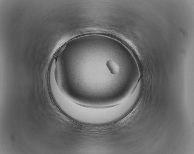 X0000112091365200908251118