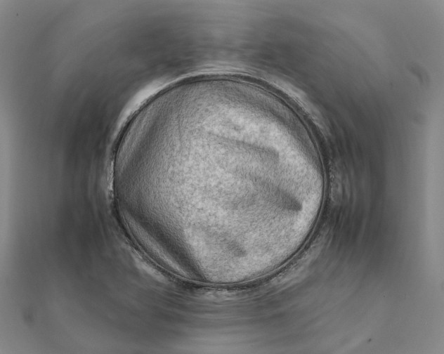 X0000112091366200908251118