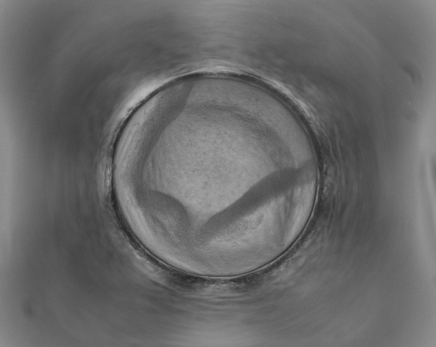 X0000112091367200908251118