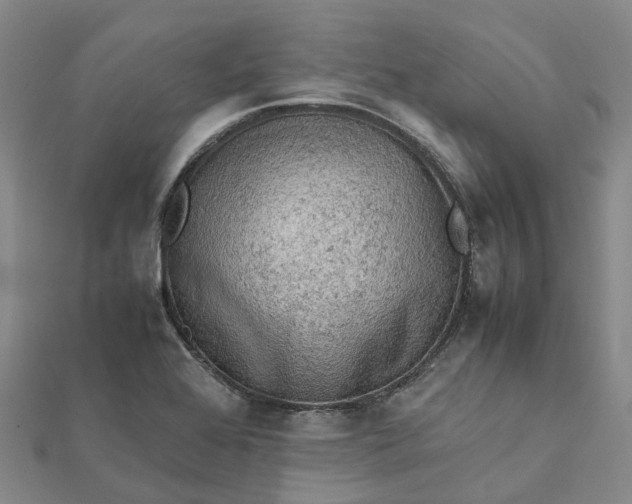 X0000112091368200908251118