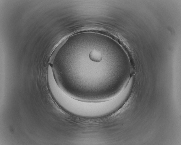 X0000112091369200908251118