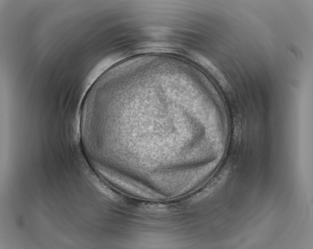 X0000112091370200908251118